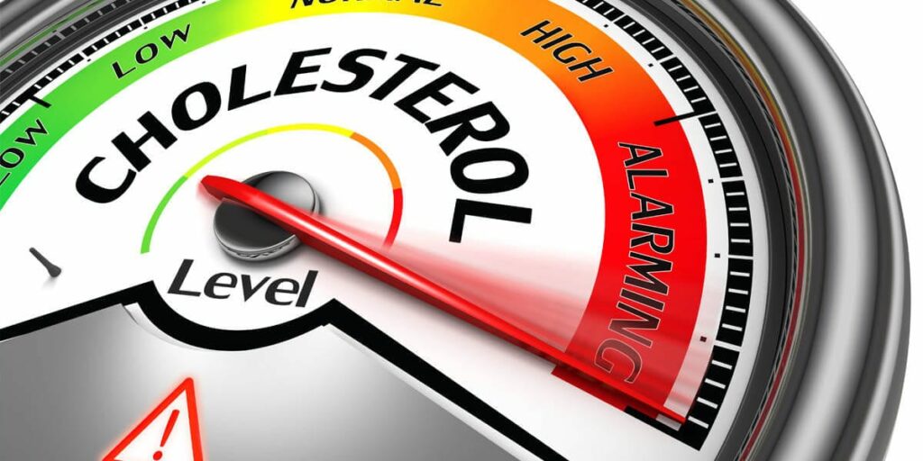 Cholesterol diet