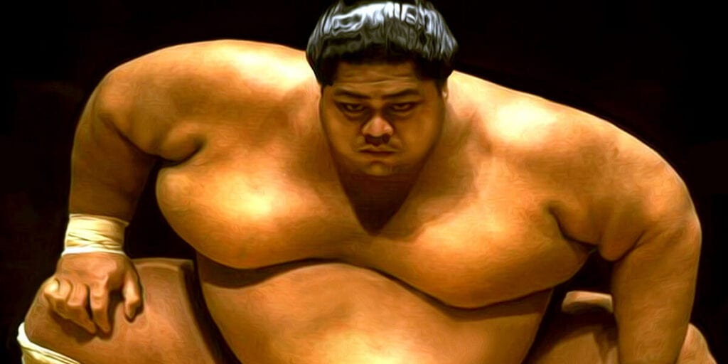Sumo wrestler's diet