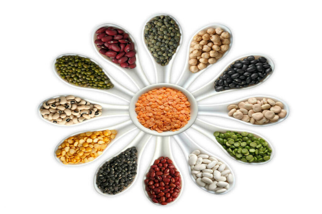 Pulses of India
