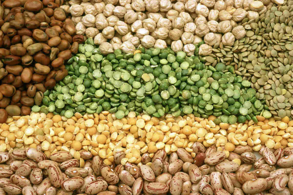 Legumes and Whole Grains Benefits