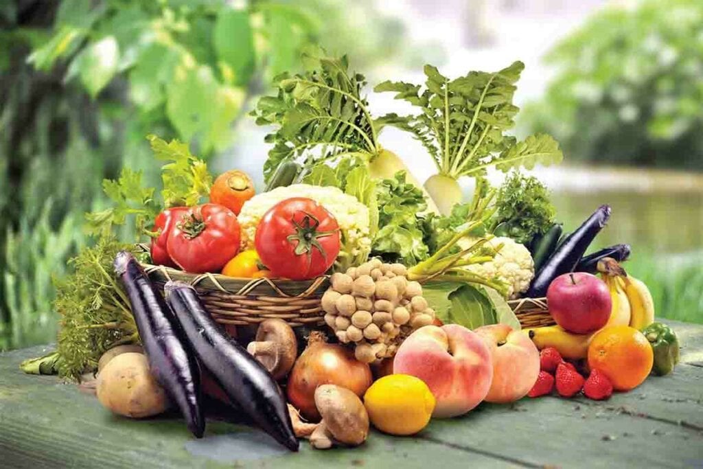 High protein foods