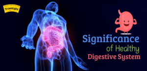 Significance of healthy digestive system
