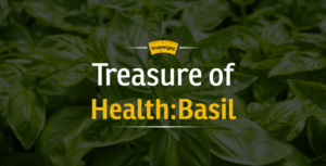 Basil Plant Benefits