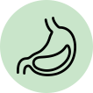 helps your digestive system in flushing out unwanted toxins
