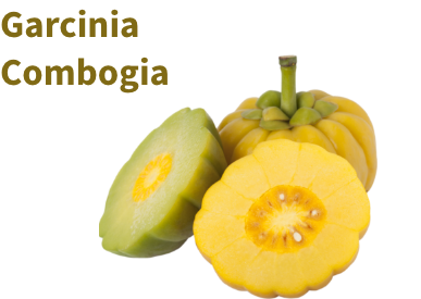 truweight is possible now